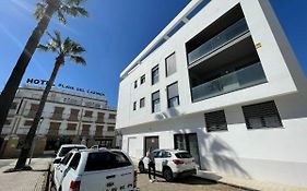Sardina